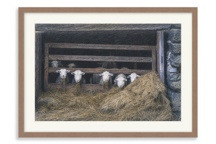 Walnut Frame  A4 -  21 x 29.7 cm (+£130.00)
